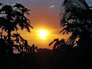 Photo de la galerie de l'établissement GITE-Hotel LA CAZ DES ORANGERS, à Le Bois de Nèfles