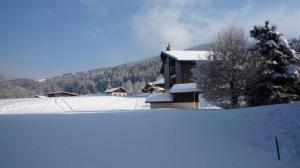 a house with snow on the ground in front of it at Appartement du Petit Bois in Megève
