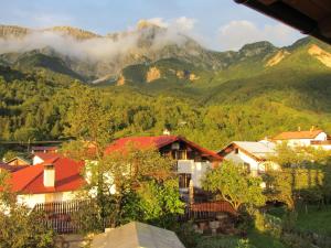 コバリードにあるApartma Vilmaの山を背景にした村の景色