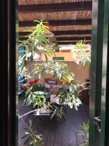 Imagen de la galería de Casa La Veranda di Ligny, en Favignana