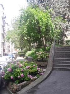 a set of stairs with flowers on a city street w obiekcie Casa Micol w Trieście