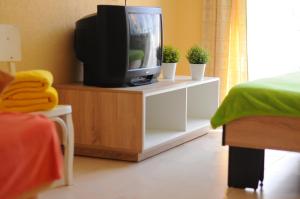 uma televisão num armário com vasos de plantas em Poltava Green Apartments em Poltava