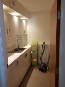 a small kitchen with a sink and a mop at Stornoway Lido flats in Stornoway