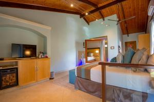 1 dormitorio con 1 cama y TV en una habitación en Coco de Mer Hotel and Black Parrot Suites, en Grand'Anse Praslin