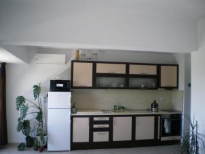 Park View Apartment Plovdiv with Parking في بلوفديف: مطبخ مع مغسلة وثلاجة بيضاء