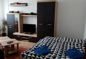 TV a/nebo společenská místnost v ubytování Apartman David