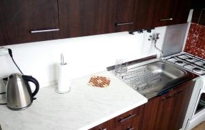 Kuchyň nebo kuchyňský kout v ubytování Apartman David
