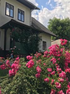Κήπος έξω από το Apartments & Rooms Florjana +81 φωτογραφίες