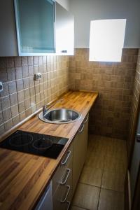 Kuchyň nebo kuchyňský kout v ubytování Markov konak