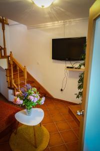 TV a/nebo společenská místnost v ubytování Markov konak