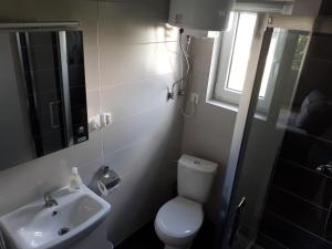 La petite salle de bains est pourvue de toilettes et d'un lavabo. dans l'établissement Domki u Marka, à Polańczyk