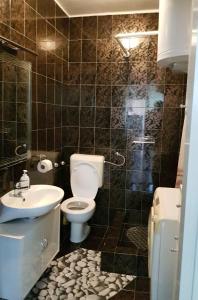 Koupelna v ubytování Apartment Vesna