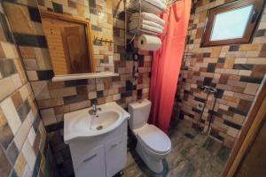 un piccolo bagno con un water e un lavandino di Chalet Tara a Mojkovac Altre 37 foto