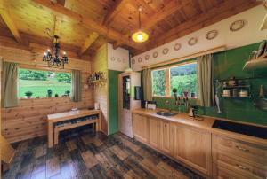 a kitchen with green walls and a wooden ceiling at Chalet Tara in Mojkovac
