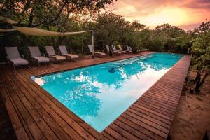 a swimming pool on a wooden deck with chairs at Royal Thonga Safari Lodge in Sihangwane