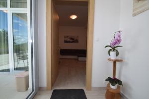Fotografie z fotogalerie ubytování Apartment Anića Kuk v destinaci Starigrad-Paklenica