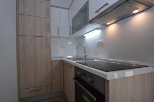 Kuchyň nebo kuchyňský kout v ubytování Apartment Anića Kuk