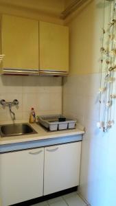 kuchnia ze zlewem i blatem w obiekcie Apartments Rukavina w mieście Umag