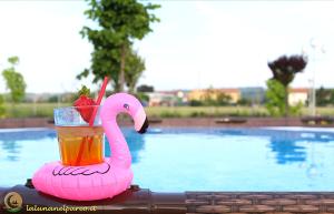 a pink flamingo drink in a drink holder next to a swimming pool at La Luna nel Parco in Fano