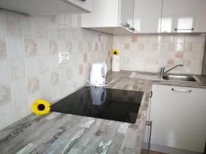 a kitchen with a toilet with a sunflower on the floor at House Čeh in Črni Kal