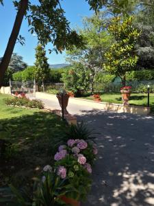 A garden outside Villa Monica