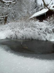 ヴァイセンシュタットにあるFerienwohnung Pedroの雪に覆われた池