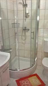 Koupelna v ubytování Apartman Zaklopatica