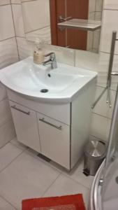 Koupelna v ubytování Apartman Zaklopatica