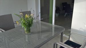 Fotografie z fotogalerie ubytování Apartman Zaklopatica v destinaci Lastovo