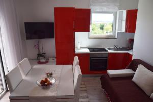 Kuchyň nebo kuchyňský kout v ubytování Apartment Anića Kuk