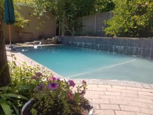 a swimming pool in a yard with purple flowers at Protea Cottage in George