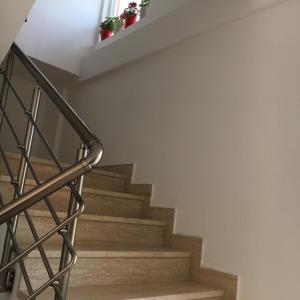una scala con le scale con le piante in vaso di Apartments Kapisoda a Cetinje (Cettigne)