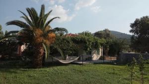 a palm tree with a hammock in front of a house at Country Village House in Skala Mistegnon