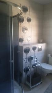 a bathroom with a shower and a toilet in it at A i M in Wisełka