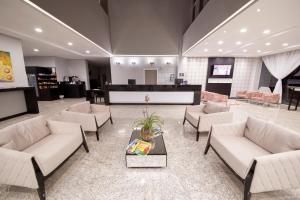 Χώρος καθιστικού στο Hiber Hotel - Acesso a Chapecó