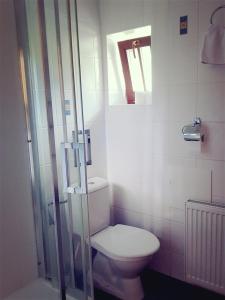 カシュペルスケー・ホリにあるPenzion Pupíkのバスルーム(トイレ、ガラス張りのシャワー付)