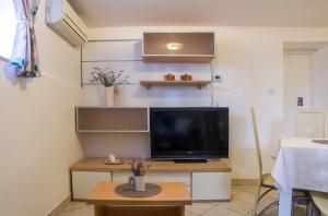 TV a/nebo společenská místnost v ubytování Apartments Bukovšek