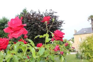 um grupo de rosas vermelhas num jardim em Chambres d'Hôtes La Gloriette em Ryes