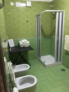 a green bathroom with a toilet and a shower at Brigida's Apartments in Ipsos