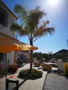 un patio con una palmera, sillas y una sombrilla en Terrera Roberto, en El Marchal