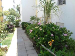 un jardín de flores frente a un edificio en Tiagos Apartament, en Faro