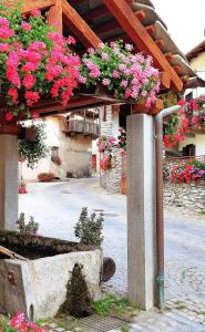 Zahrada ubytování B&B Terra di confine