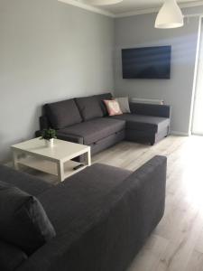 a living room with a couch and a table at Apartament Julek klimatyzowany in Oświęcim