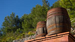 Fotografie z fotogalerie ubytování Finca el Tossal - Adults Only v destinaci Bolulla