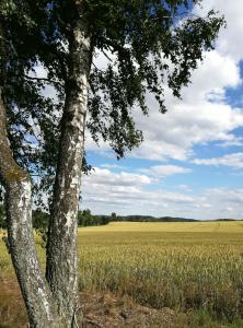 Loodusmaastik puhkemaja lähedal