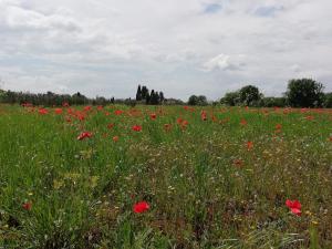 Zahrada ubytování IL Fienile nella Roccia