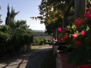 Zahrada ubytování IL Fienile nella Roccia
