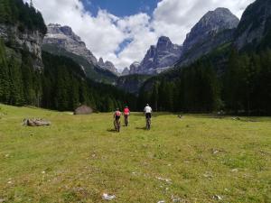 Gallery image of Residenza Caola Sant'Antonio Mavignola in Madonna di Campiglio