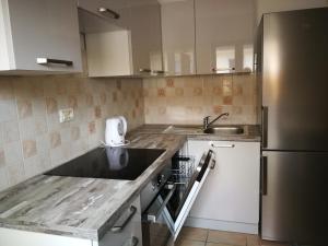 a kitchen with a sink and a refrigerator at House Čeh in Črni Kal