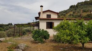 Fotografie z fotogalerie ubytování Ample Modern Country Home v destinaci Néa Epídhavros